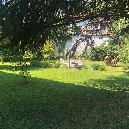 Vila Labod, Unique Villa At The Lake موست نا سوتشي المظهر الخارجي الصورة